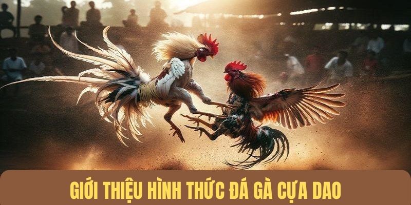 Đá Gà Cựa Dao